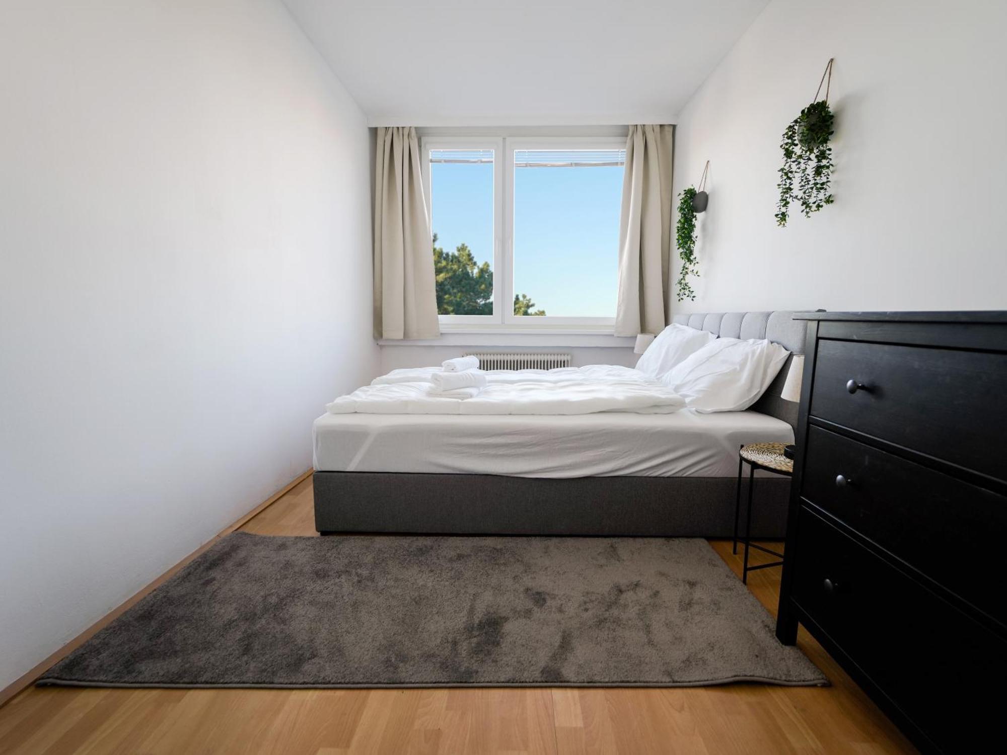 Spacious Apartments With View & Free Parking 비너노이슈타트 외부 사진