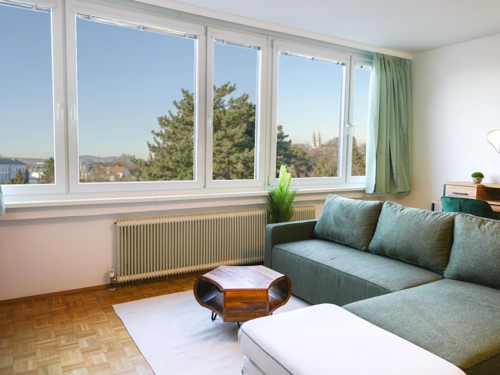 Spacious Apartments With View & Free Parking 비너노이슈타트 외부 사진